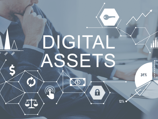 Innovate and Organise: Elevate Your Business with Top-Tier Digital Asset Management Software