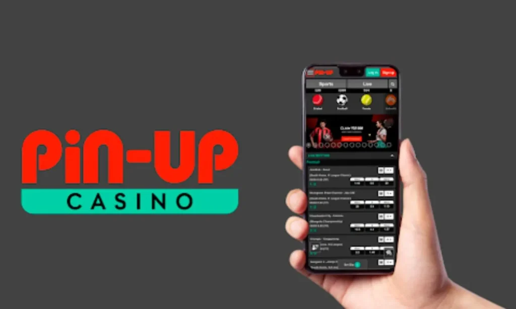 The Most Important Facts About the Pin Up Casino App in India