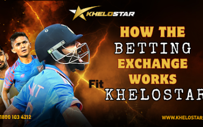 A Beginner’s Guide to Betting on Khelostar 